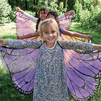 Fanciful Fabric Butterfly Wings