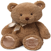 Newborn Teddy Bear